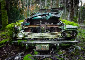 Relic car moldering in forest
