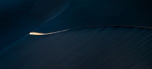 Dune curve